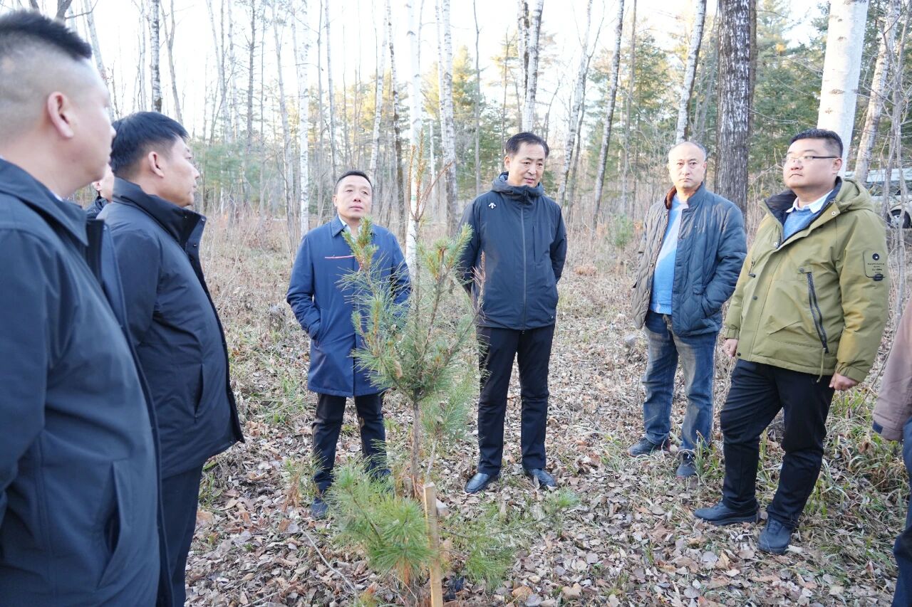 1762995334978929.jpg 微信圖片_2025-11-13_085246_918.jpg